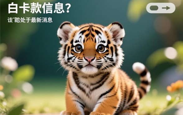 萌虎白卡下款信息有最新消息吗