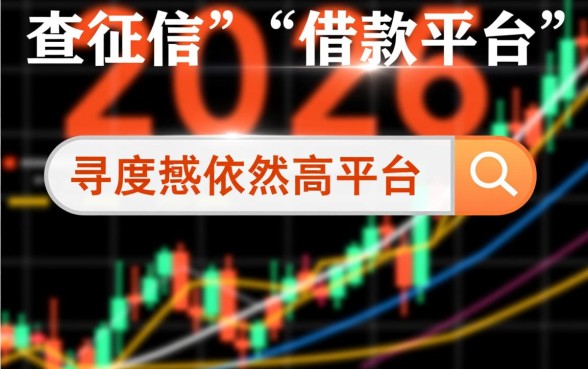 不查正信的借款平台能借到钱吗