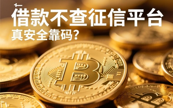 网上借款不查征信的平台有哪些