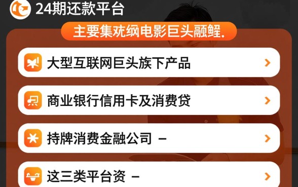 哪个借款平台可以分24期还款