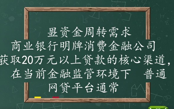 哪个平台可以借款20万元以上