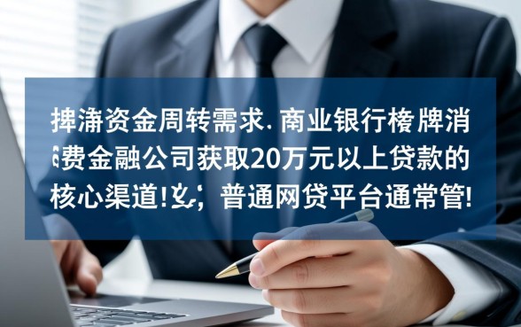 哪个平台可以借款20万元以上