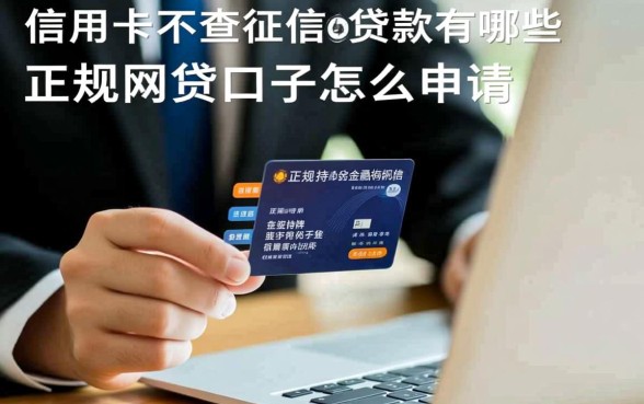 凭信用卡不查征信的贷款有哪些