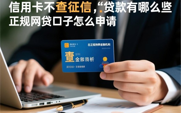 凭信用卡不查征信的贷款有哪些