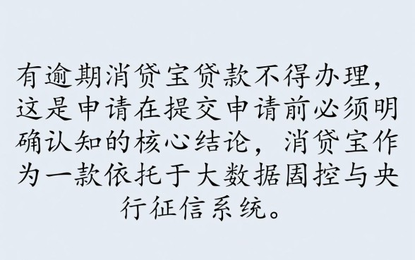 征信有逾期消贷宝贷款不能办