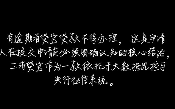 征信有逾期消贷宝贷款不能办