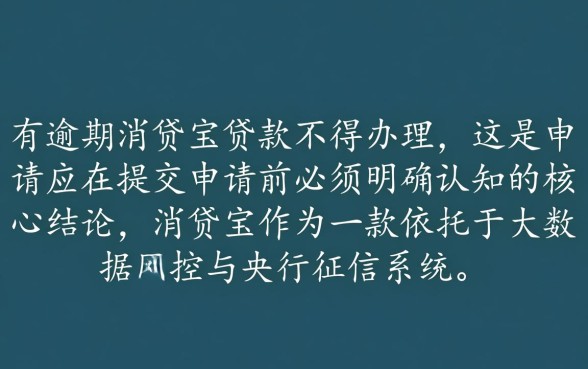 征信有逾期消贷宝贷款不能办