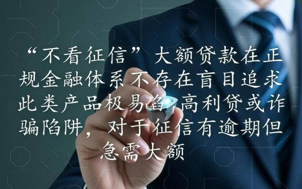 大额不看征信能下款吗