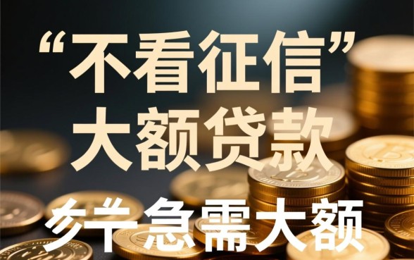 大额不看征信能下款吗
