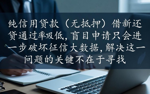 借款过多哪个平台可以通过审核