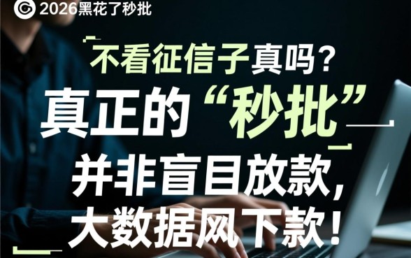 2026黑花了秒批的借款口子是真的吗