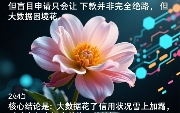 大数据花了还有能下款的口子吗