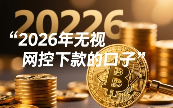 2026年无视风控下款的口子有哪些