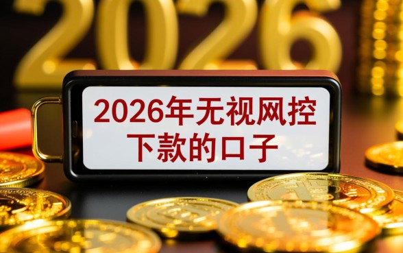 2026年无视风控下款的口子有哪些