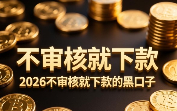 2026不审核就下款的黑口子