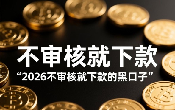 2026不审核就下款的黑口子