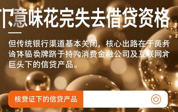 征信花了还有哪些平台可以借款