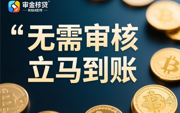 借钱无需审核立马到账什么意思