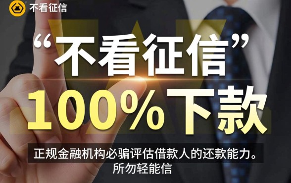 不看征信的贷款平台一定能下款