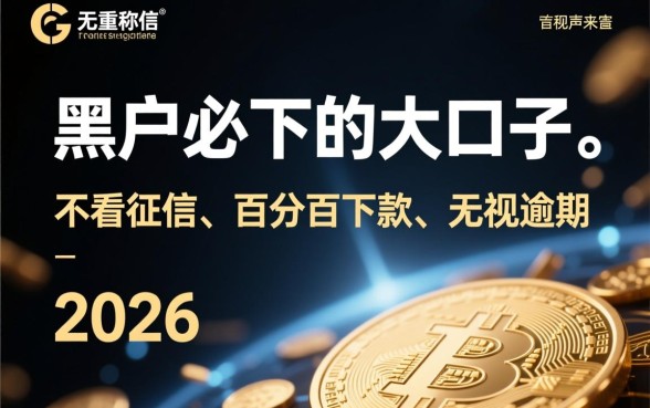 黑户必下的大口子有吗2026