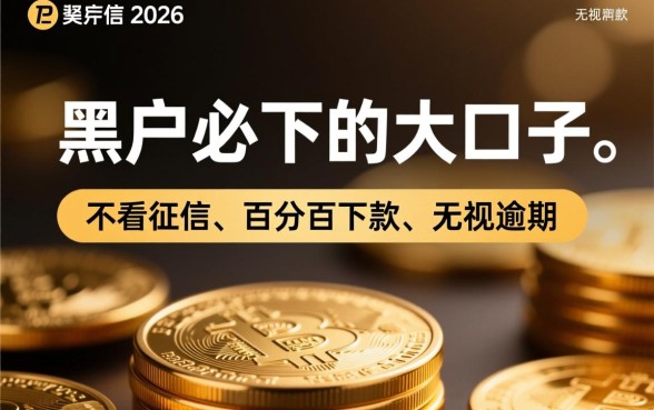 黑户必下的大口子有吗2026