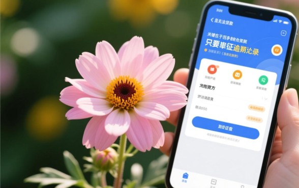 征信花也能下款的口子是真的吗