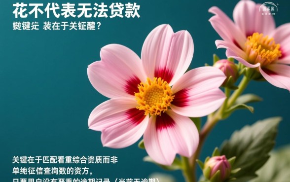 征信花也能下款的口子是真的吗