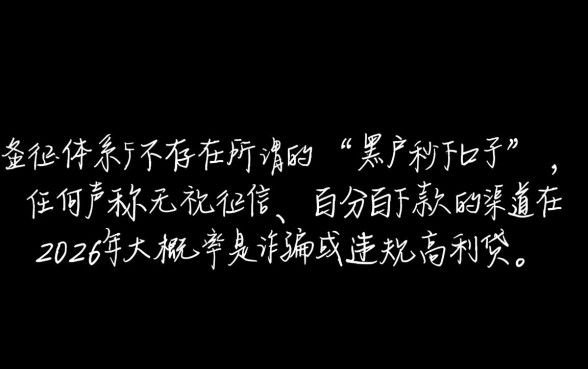 2026年黑户秒下的口子有吗