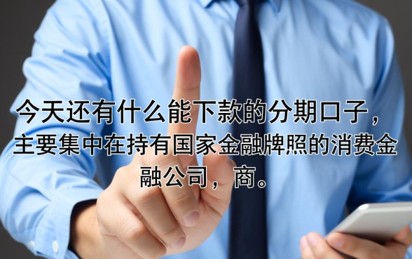 今天还有什么能下款的分期口子