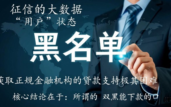 双黑能下款的口子2026论坛有哪些