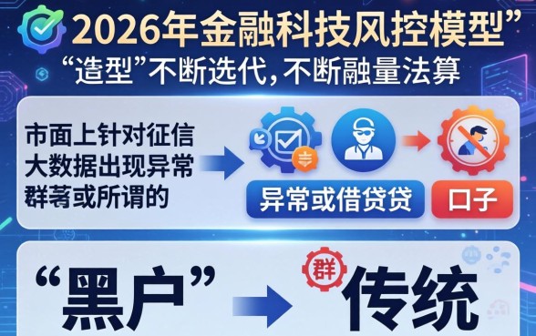 大数据花了黑户可以下款吗
