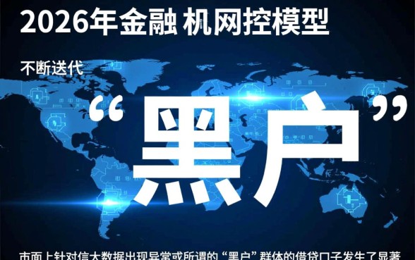 大数据花了黑户可以下款吗