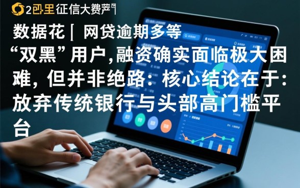 分享最新双黑都能下的网贷口子