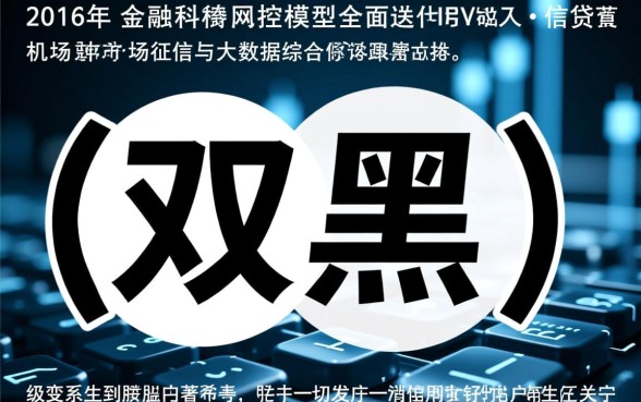 2026双黑能下款的口子链接在哪里