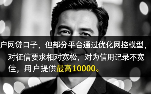 10000网贷无视黑白的口子有哪些