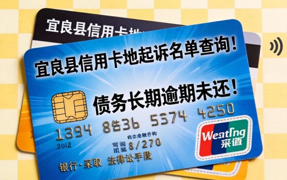 宜良县信用卡被起诉名单查询方法及后果详解