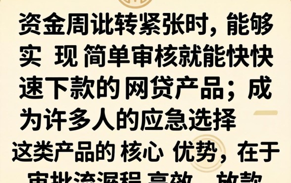 简单审核就能快速下款的网贷有哪些