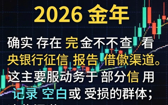 2026年不看征信就能借款
