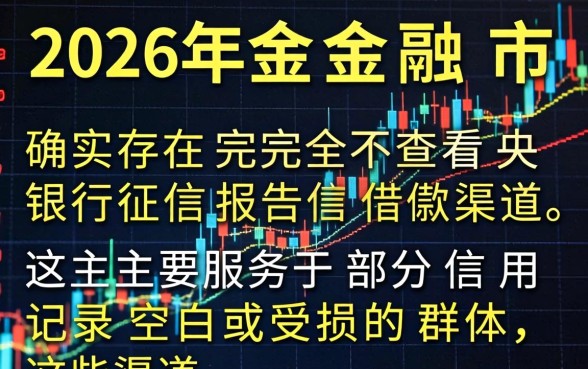 2026年不看征信就能借款