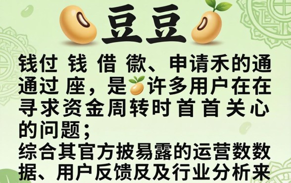 豆豆钱借款申请通过率高不高
