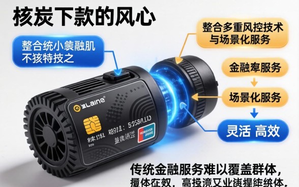 大黑炭下款快吗安全靠谱真实体验分享