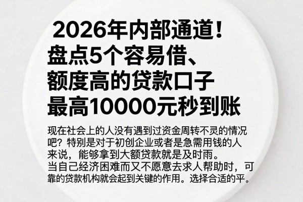 2026年内部通道！盘点5个容易借、额度高的贷款口子，最高10000元秒到账