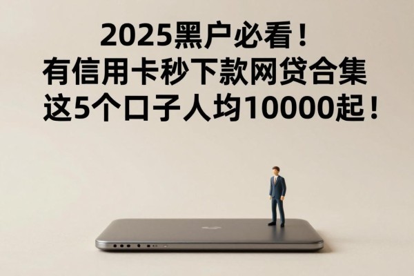 2025黑户必看！有信用卡秒下款网贷合集，这5个口子人均10000起！