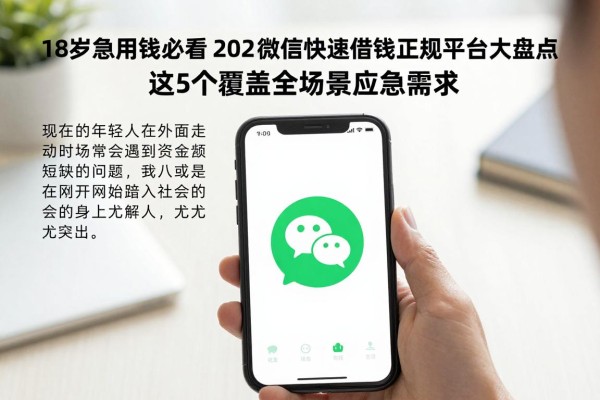 18岁急用钱必看!2026微信快速借钱正规平台大盘点,这5个覆盖全场景应急需求