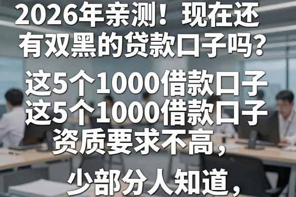 2026年亲测!现在还有双黑的贷款口子吗?这5个1000借款口子资质要求不高,少部分人知道!