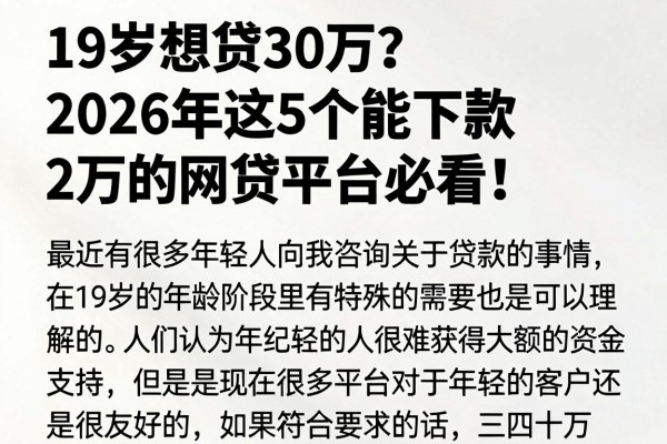 19岁想贷30万?2026年这5个能下款2万的网贷平台必看!