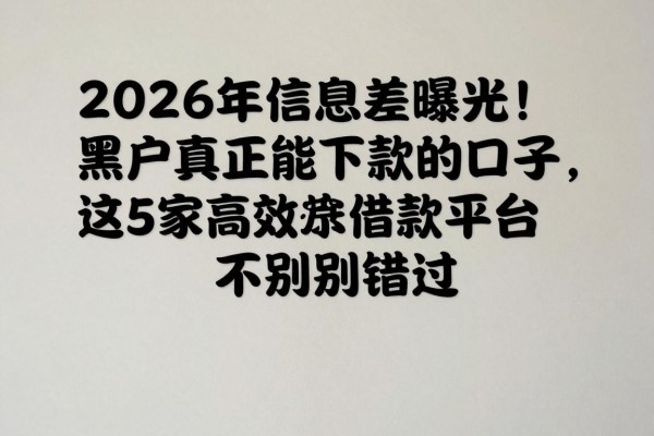 2026年信息差曝光！黑户真正能下款的口子，这5家高效借款平台千万别错过
