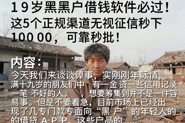 19岁黑户借钱软件必过!这5个正规渠道无视征信秒下10000,可靠秒批