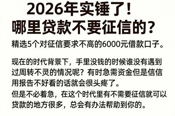 2026年实锤了!哪里贷款不要征信的?精选5个对征信要求不高的6000元借款口子