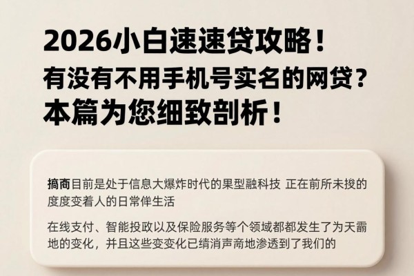 2026小白速贷攻略!有没有不用手机号实名的网贷?本篇为您细致剖析!